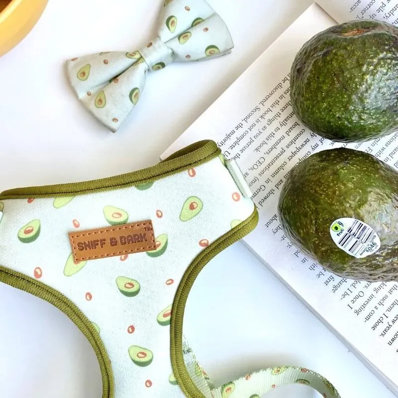 Avocado Lockable Harness™   Leash Set