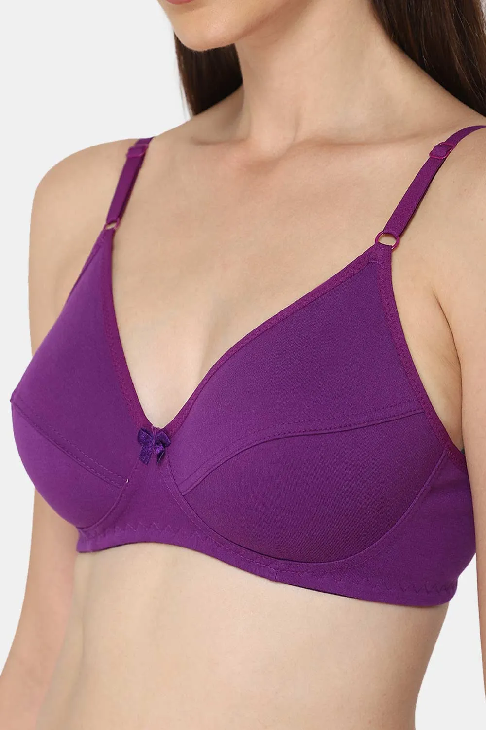 Intimacy Saree Bra Special Combo Pack - INT05 - C34