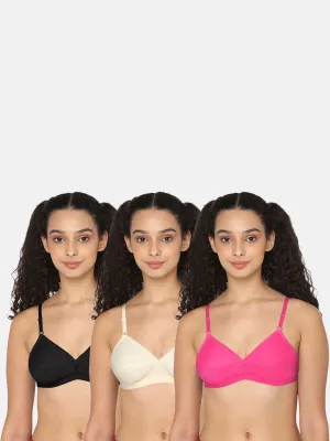 Naidu Hall Heritage-Bra Special Combo Pack - Trend - C66