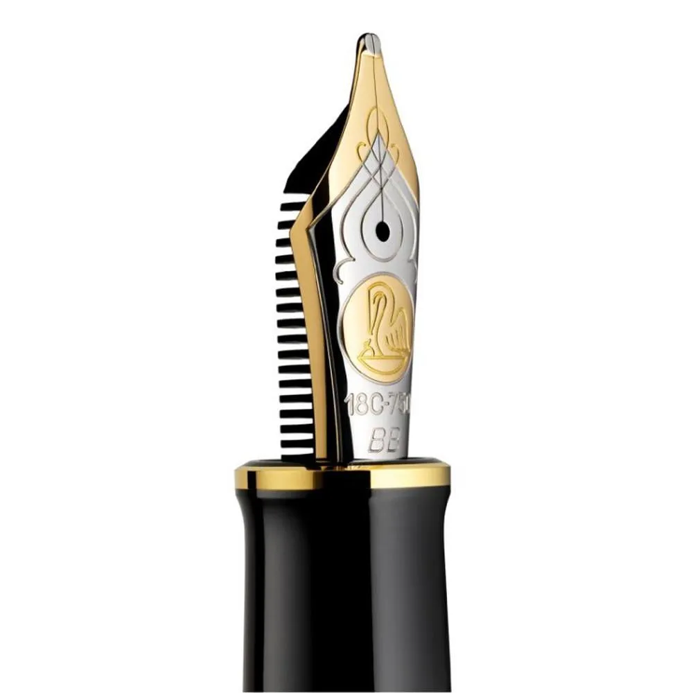 Pelikan Nib Part (18K) - M800/M900 Two-Tone